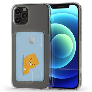 요이치 아이스핏 에드온 카드 케이스