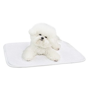 초코펫하우스 강아지 듀라론 아이스 쿨매트, 일반형(60 x 4..., 1개