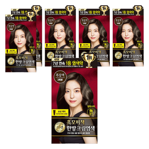 리엔 흑모비책 새치염색크림 한방염모제, 흑갈색, 6개