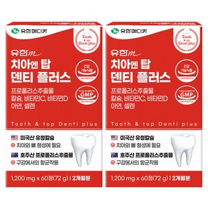 유한메디카 치아 엔 탑 덴티 플러스 72g, 60정, 2개