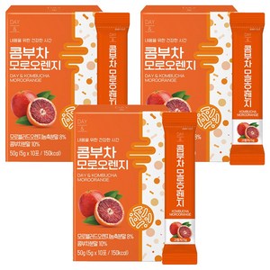 데이앤 콤부차 모로오렌지