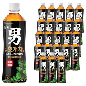 광동진한헛개차, 500ml, 24개