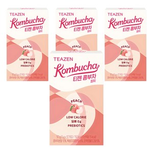 티젠 콤부차 피치