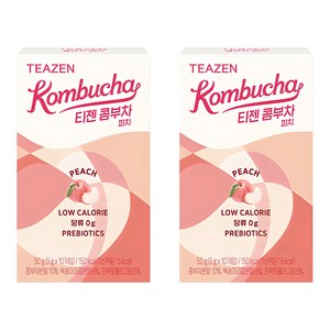 티젠 콤부차 피치