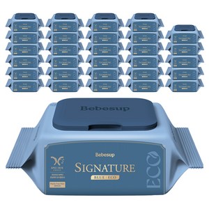 베베숲 시그니처 블루 에코 유아물티슈 휴대캡형
