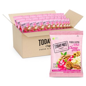 투데이넛 너트한줌 치즈퀴노아, 20g, 100개