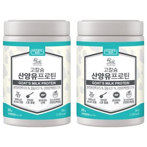 내추럴박스 고칼슘 산양유 프로틴, 380g, 2개