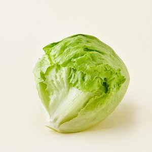 팜에이트 무농약 인증 스마트팜 양상추