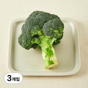국내산 친환경 브로콜리, 1개입, 3개