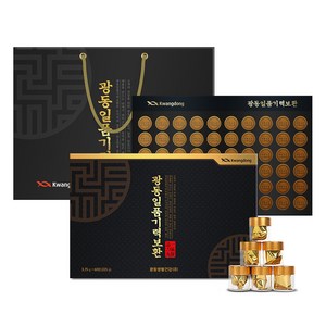 광동 일품기력보환 60환 + 쇼핑백 세트, 225g, 1개