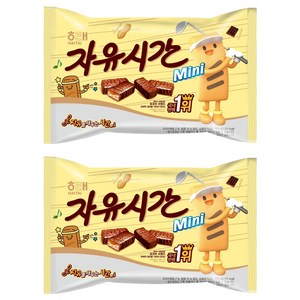 자유시간 미니 초콜릿, 500g, 2개