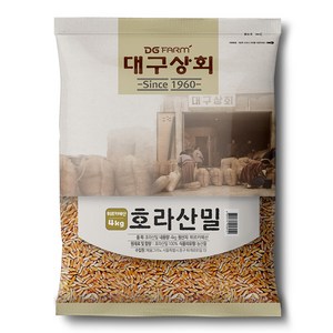 대구상회 호라산밀, 4kg, 1개