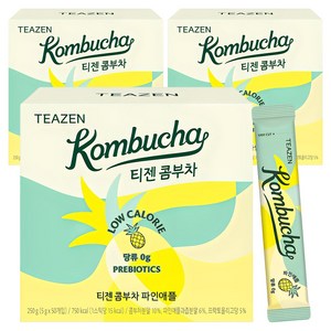 티젠 콤부차 파인애플