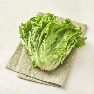 국내산 친환경 카이피라, 85g, 1개