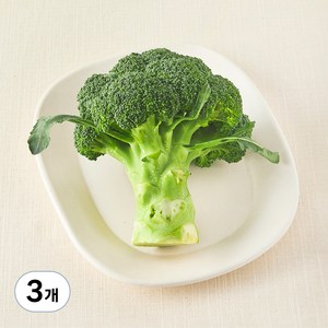 친환경 제주 브로콜리