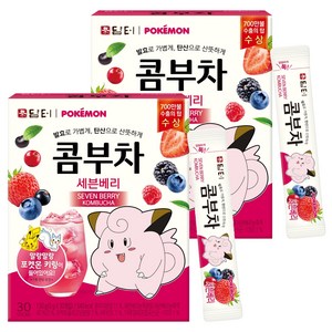 담터 포켓몬 콤부차 세븐베리