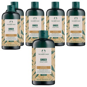 더바디샵 진저 스캘프 케어 샴푸, 400ml, 4개