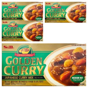 에스앤비골든 카레 중간맛, 220g, 4개