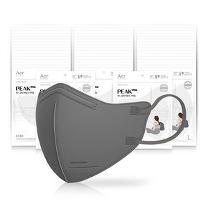 아에르 피크 라이트핏 보건용 마스크 KF80 L, 1개입, 그레이, 50개