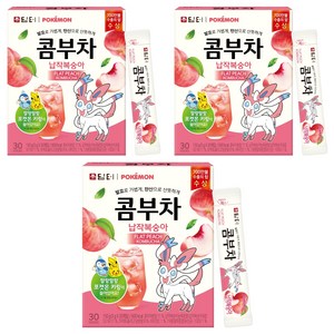 담터 포켓몬 콤부차 납작복숭아