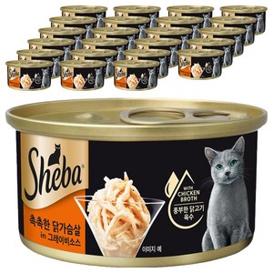 쉬바 고양이 간식캔