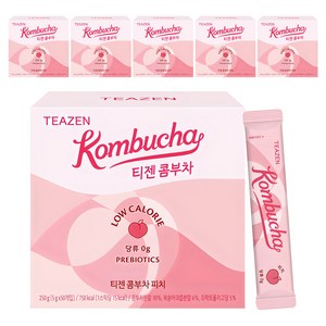 티젠 콤부차 피치