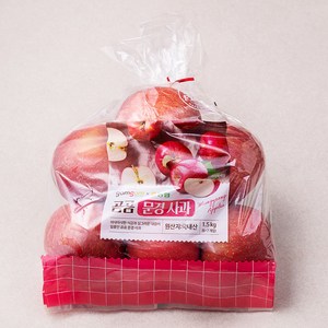 곰곰 농협 문경사과, 1.5kg(중과), 1봉