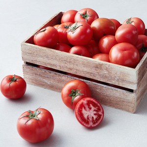 곰곰 주스용 토마토, 5kg, 1개