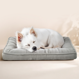 코멧 펫 강아지 쿠션