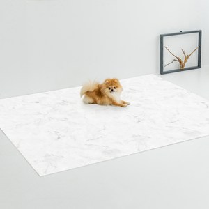 디팡 펫플레이 강아지매트 러그타입 2장, 마블 화이트, (180cm x 1..., 2개