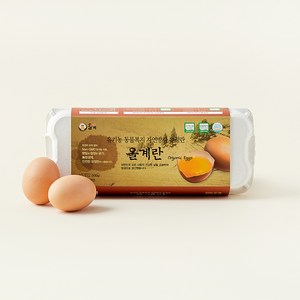 난각1번 올계 동물복지 자연방사 유정란, 10구, 1개