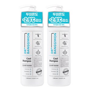 닥터방기원 쿨 샴푸 블루모히또향, 1L, 2개
