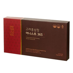 천양삼 6년근 고려홍삼정 어니스트 365 홍삼스틱 60포 선물세트 + 쇼핑백, 600g, 1개