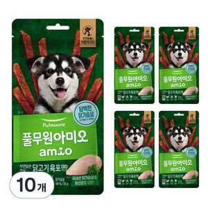 풀무원아미오 자연담은 간식 닭고기 육포 유산균 PLUS, 닭가슴살, 50g, 10개