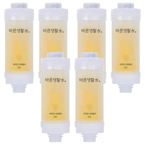 바른생활수 비타민 샤워필터, 6개, 레몬