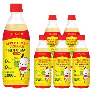 티젠 애사비소다 오리지널, 500ml, 6개