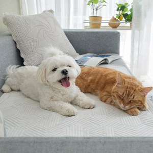 크리벨 반려동물 아추어 듀라론 냉감 쿨매트, 화이트, 중형(50 x 70..., 1개