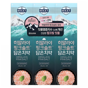히말라야핑크솔트 담은 치약 아이스 카밍 민트, 100g, 3개