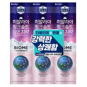 히말라야핑크솔트 담은 바이옴 잇몸 구취전문 치약, 100g, 3개