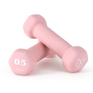 아리프 네오프렌 선인장 아령