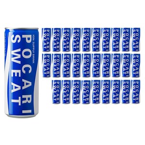 포카리스웨트, 240ml, 60개