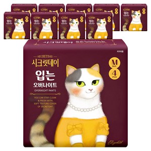 시크릿데이 하트 입는 오버나이트 팬티