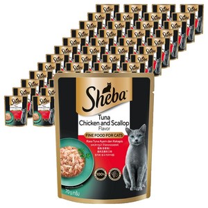 쉬바 고양이 주식 파우치, 닭+참치, 70g, 48개