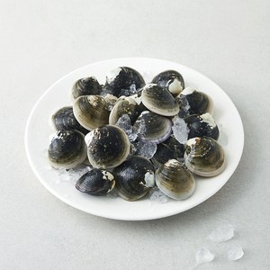 국산 모시조개, 500g, 1팩