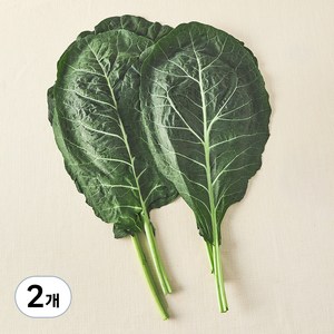 유기농 녹즙용 케일, 500g, 2개