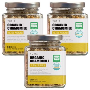 유리아 캐모마일차 유리병 컬렉션