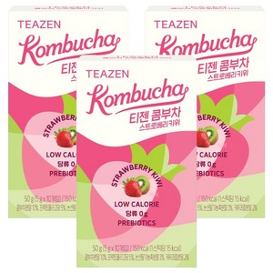 티젠 콤부차 스트로베리키위