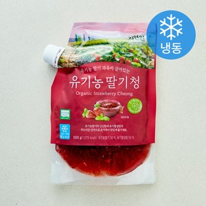 자연원 유기가공식품 인증 딸기청 (냉동), 500g, 1개