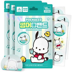 아텍스 포차코 썸머겔밴드