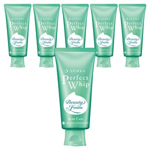 센카 퍼펙트 휩 아크네 케어 에프 클렌징폼, 100g, 6개